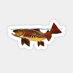 Brown Trout IV Sticker